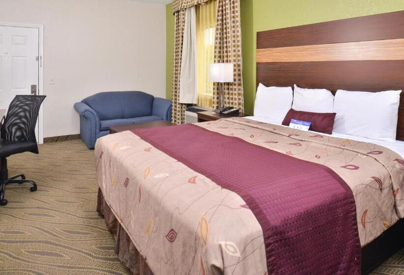 キングサイズベッドのスタンダードルーム, Americas Best Value Inn Downtown Houston