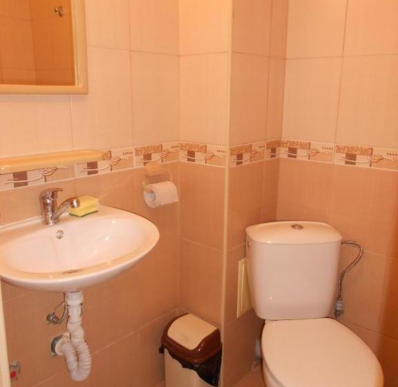 آپارتمان 1 خوابه با بالکن, Family Hotel Amore