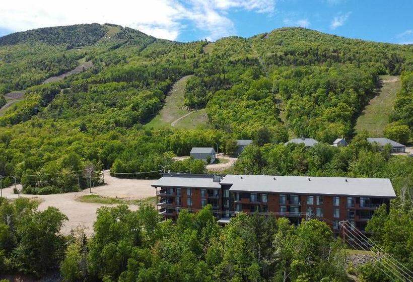 Апартаменты 2 Спальни, Les Appartements Du Massif De Charlevoix