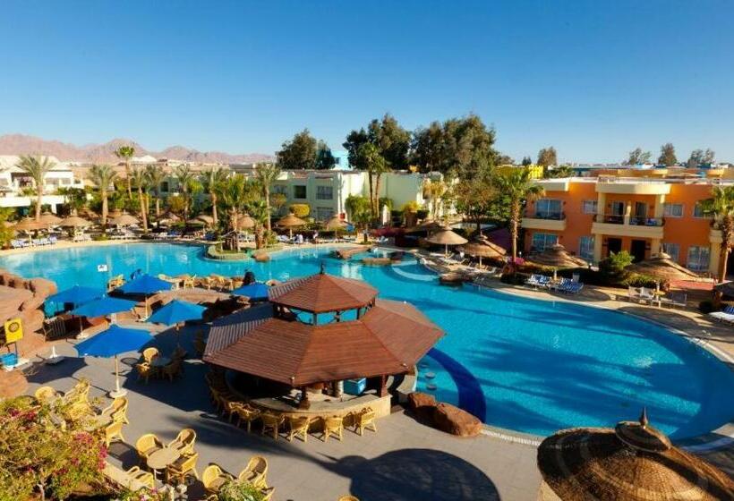 Sviitti Allasnäkymä, Sierra Sharm El Sheikh