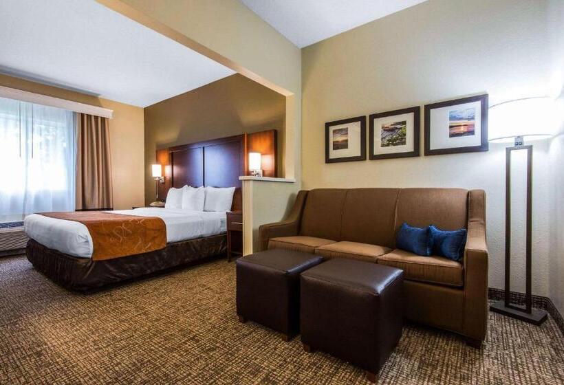 Люкс Кровать Кинг, Comfort Suites Rochester Henrietta University Area