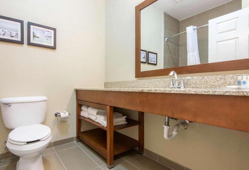 Люкс Адаптированный для Инвалидов, Comfort Suites Rochester Henrietta University Area