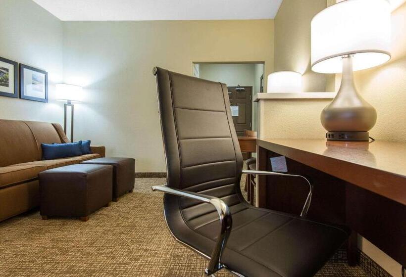Люкс Адаптированный для Инвалидов, Comfort Suites Rochester Henrietta University Area