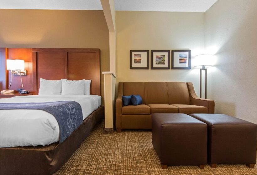 Люкс Адаптированный для Инвалидов, Comfort Suites Rochester Henrietta University Area