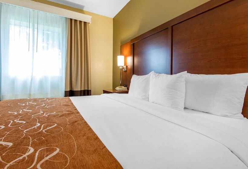 Люкс Адаптированный для Инвалидов, Comfort Suites Rochester Henrietta University Area