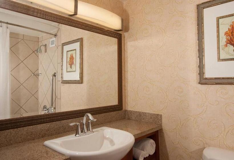 带大床的标准间, Courtyard Miami Coral Gables