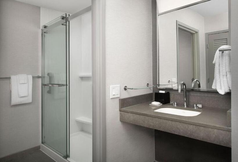 חדר סטנדרט עם מיטת קינג, Courtyard By Marriott Savannah Downtown   Historic District
