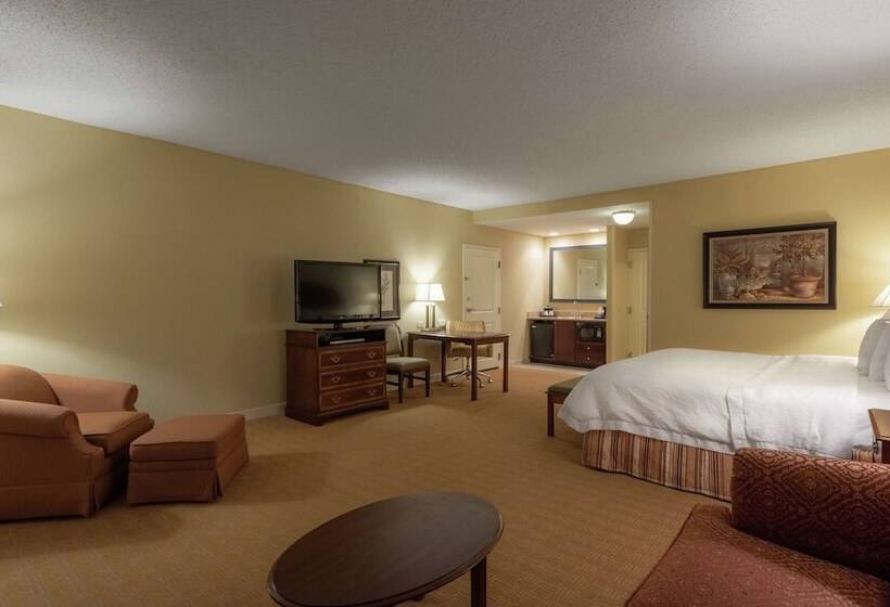استودیو اجرایی, Hampton Inn & Suites Vicksburg