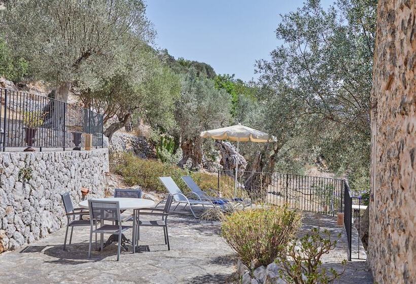수피리어 테라스 룸, Agroturismo Alqueria Blanca