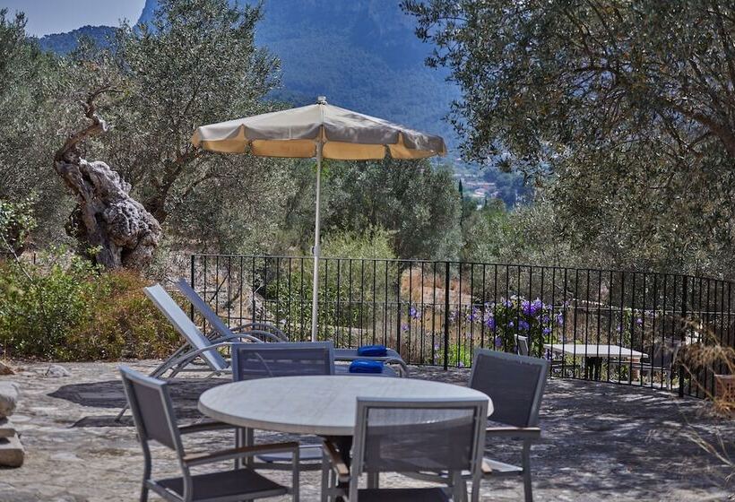 수피리어 테라스 룸, Agroturismo Alqueria Blanca