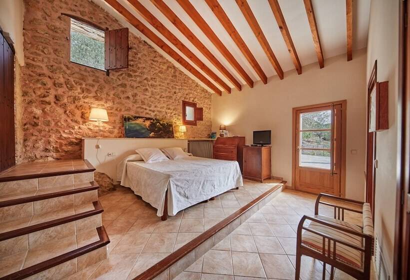 수피리어 테라스 룸, Agroturismo Alqueria Blanca
