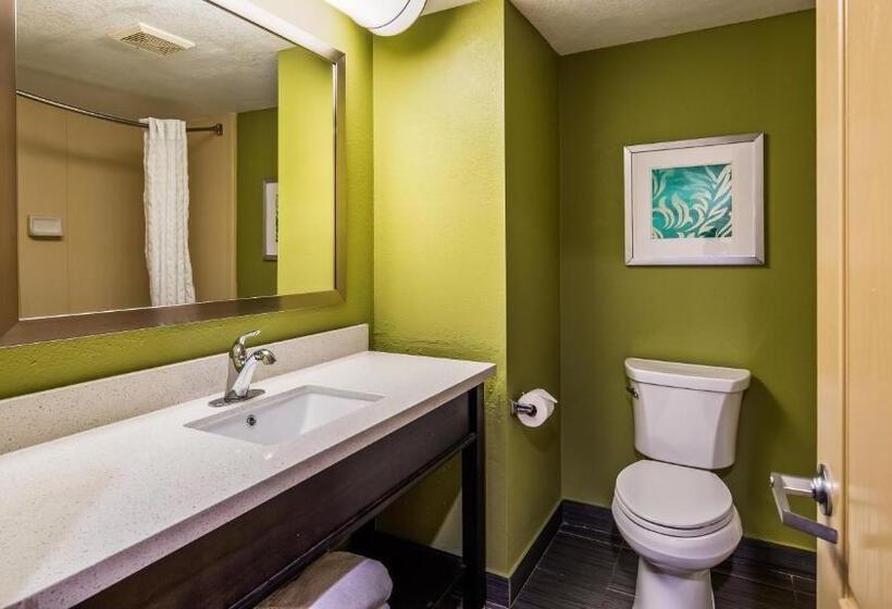 Стандартный Номер Кровать Кинг, Best Western Plus Sanford Airport/lake Mary