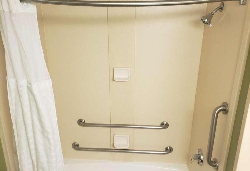 Номер Стандарт Адаптированный для Инвалидов, Best Western Plus Sanford Airport/lake Mary