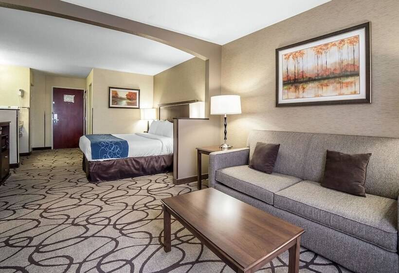 Люкс, Comfort Suites Airport