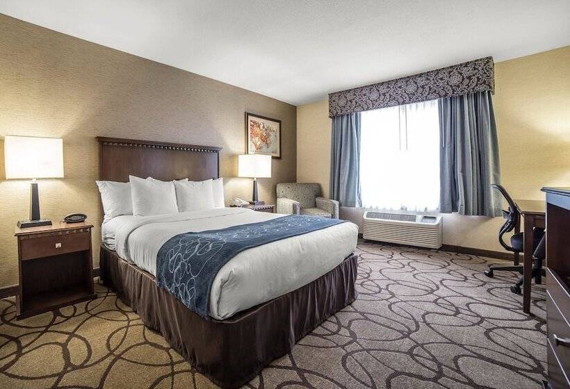 Люкс, Comfort Suites Airport