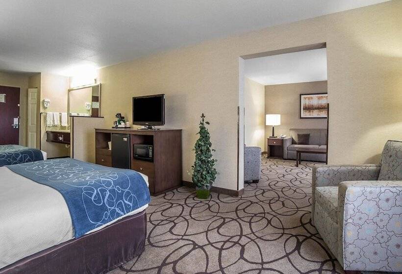 Люкс, Comfort Suites Airport