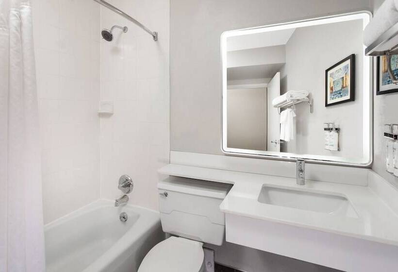 标准间, Holiday Inn Chicago/oak Brook, An Ihg