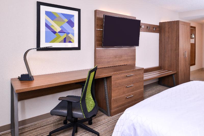 带大床的套房, Holiday Inn Express Hotel & Suites Tampa Anderson Road Veterans Exp, An Ihg