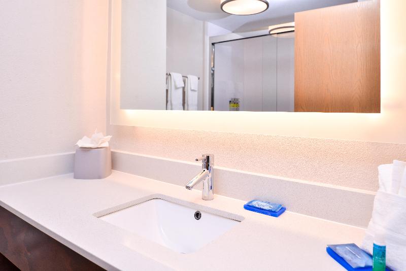带大床的标准间, Holiday Inn Express Hotel & Suites Tampa Anderson Road Veterans Exp, An Ihg