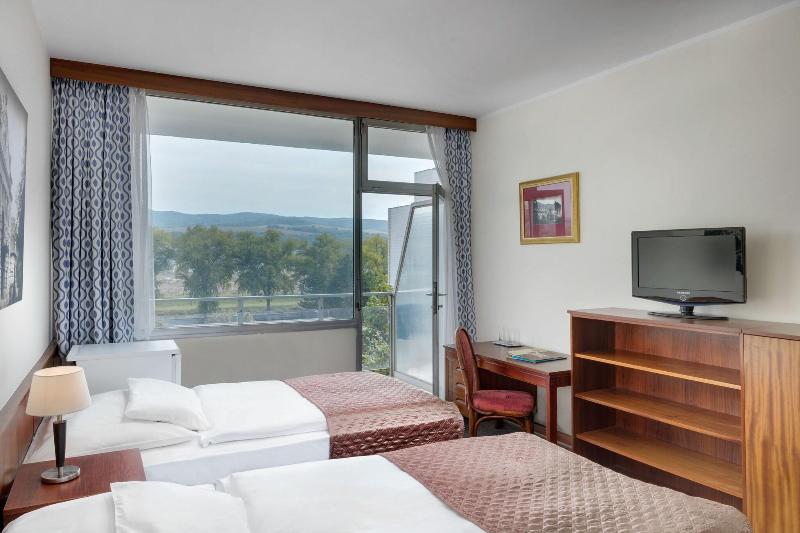 带大床的标准间, Holiday Inn Express Hotel & Suites Tampa Anderson Road Veterans Exp, An Ihg
