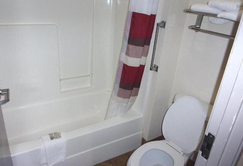 带大床的豪华间, Red Roof Inn & Suites Monee