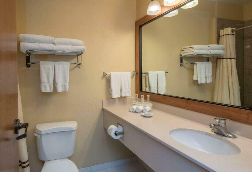 스탠다드 룸, Truckee Donner Lodge