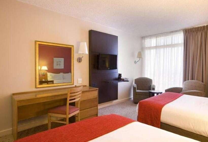 Номер Стандарт, Garden Court Nelson Mandela Boulevard