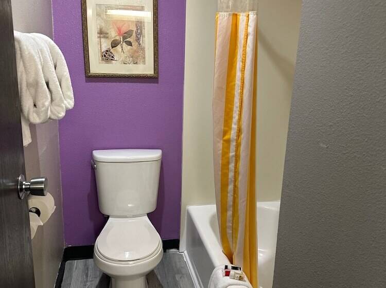 Номер Стандарт 2 Двуспальные Кровати, La Quinta Inn By Wyndham Omaha Southwest