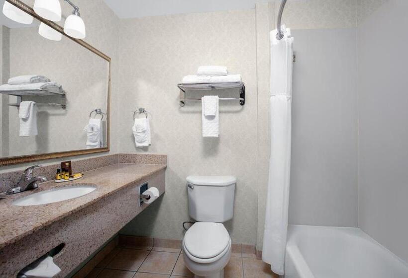 Номер Стандарт 2 Двуспальные Кровати, Best Western Plus Miami Doral/dolphin Mall