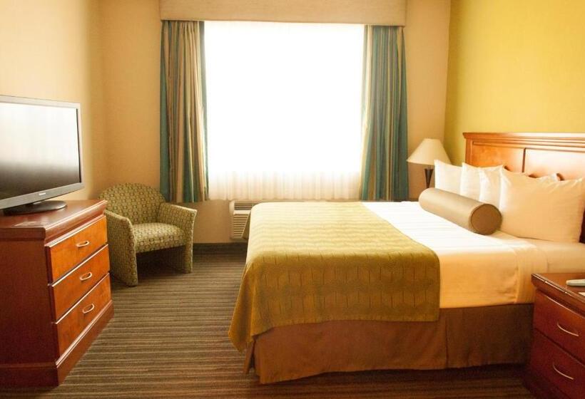 Стандартный Номер Кровать Кинг, Best Western Plus Miami Doral/dolphin Mall