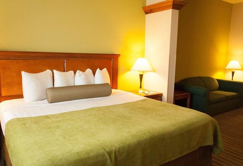 Люкс, Best Western Plus Miami Doral/dolphin Mall