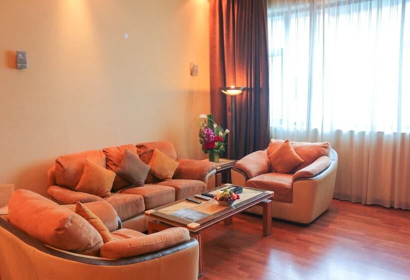 استودیوی استاندارد, City Center Hotel
