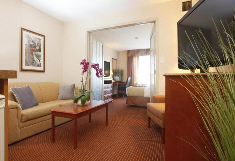 Люкс Кровать Кинг, Stonebridge Hotel Dawson Creek