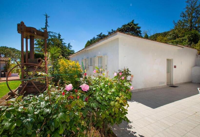 غرفة قياسية, O Sole Mio