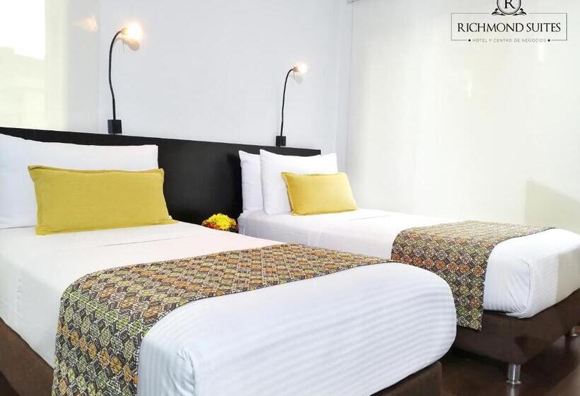 Номер Superior, Richmond Suites