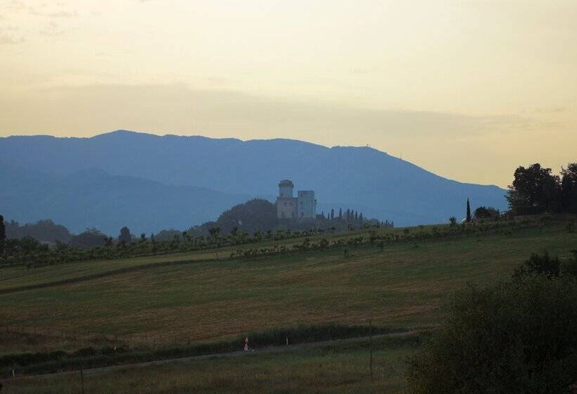Номер Стандарт, Tenuta Il Burchio