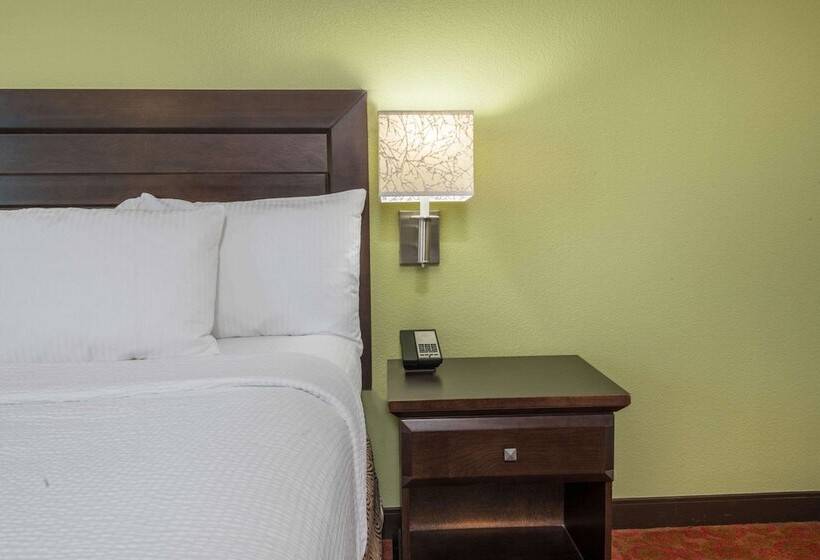 适合残疾人士使用的套间, La Quinta By Wyndham San Antonio Medical Ctr. Nw