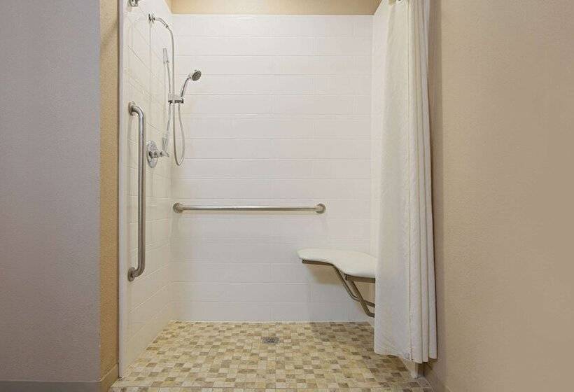 Quarto Estandar para Deficientes Físicos, Microtel Inn & Suites By Wyndham Walterboro