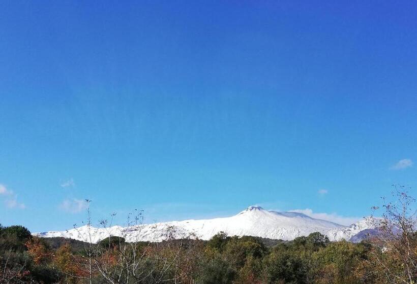 اتاق استاندارد با چشم‌انداز کوهستان, Milomax