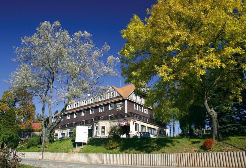 스탠다드 룸, Spa Hotel Bily Horec