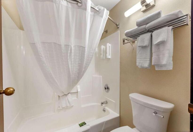 Стандартный Номер Кровать Кинг, Clarion Pointe Racine  Mount Pleasant