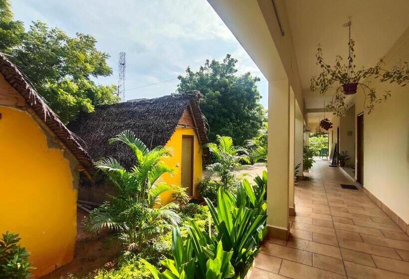 اتاق استاندارد با تخت بزرگ, Pv Resort   Auro Beach