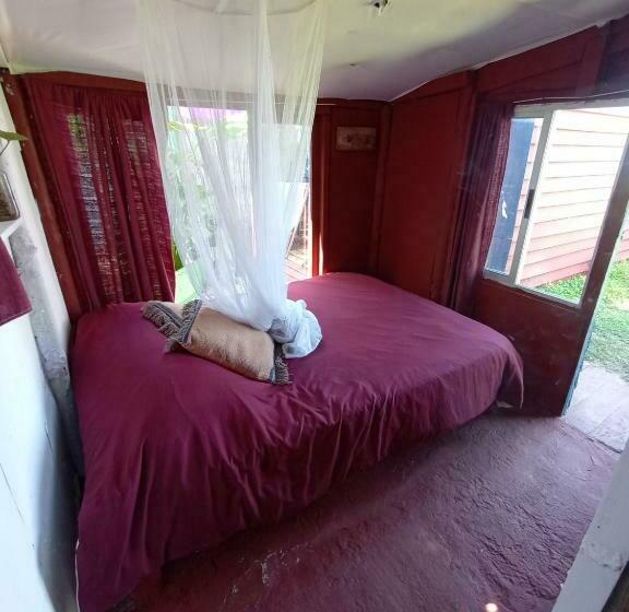 스탠다드 룸, Green House Hostel