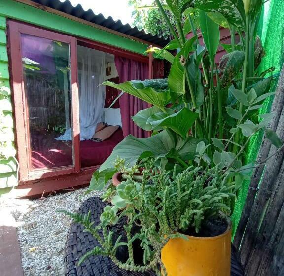 חדר סטנדרט, Green House Hostel