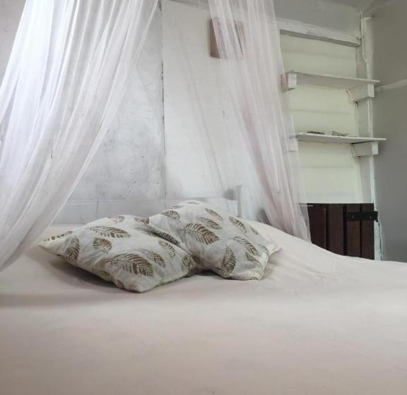 이코노미 룸, Green House Hostel