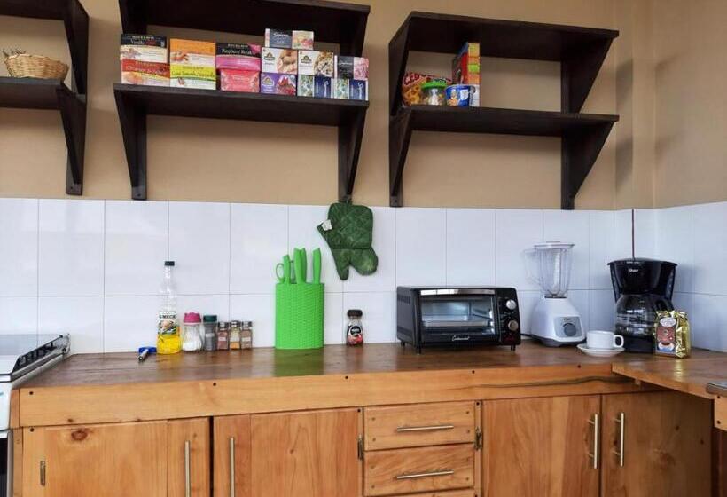 اتاق استاندارد, Millennium Apartment