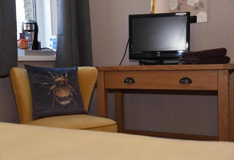 Номер Deluxe, Greyhound