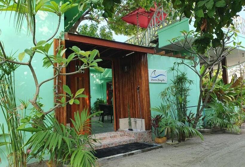 اتاق لوکس, Arianna Dhangethi