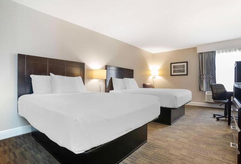 Номер Стандарт, Best Western Bayou Inn