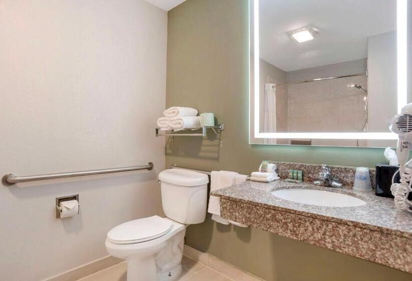 Стандартный Номер Кровать Кинг, Best Western Bayou Inn